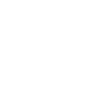 logo almacoustic