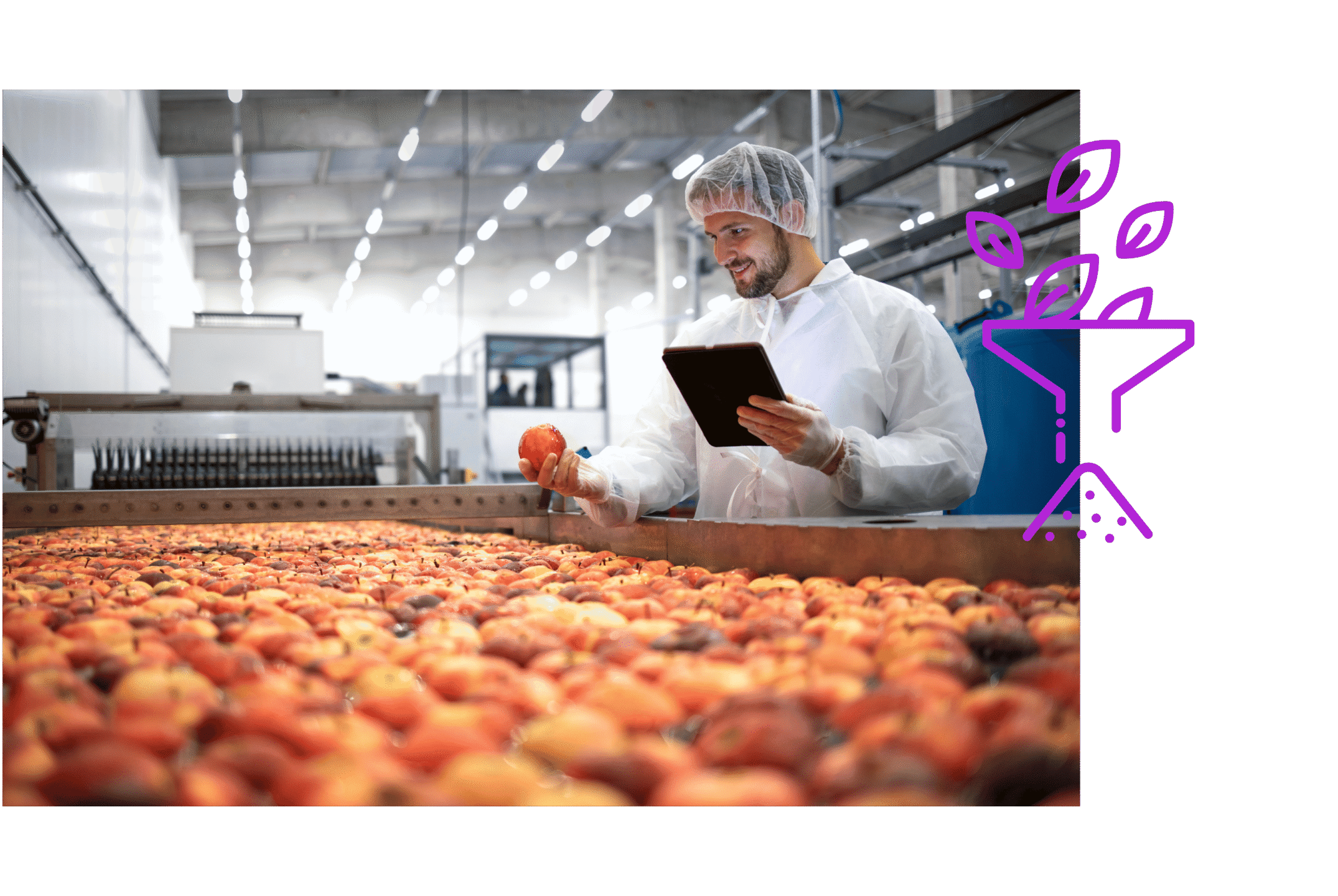 première transformation agricole